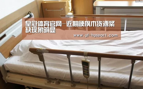 皇冠体育官网-近期硬枫木货源紧缺现象明显(图1) 皇冠体育官网