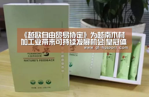 《越欧自由贸易协定》为越南木材加工业带来可持续发展机会|皇冠体育(图1) 皇冠体育