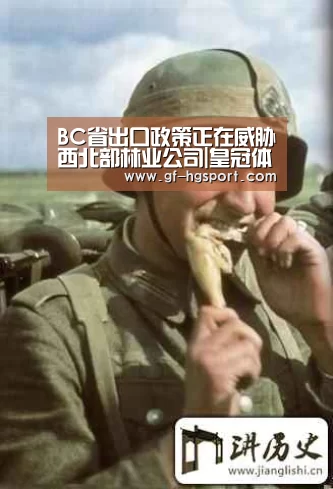 BC省出口政策正在威胁西北部林业公司|皇冠体育官网(图2) 皇冠体育
