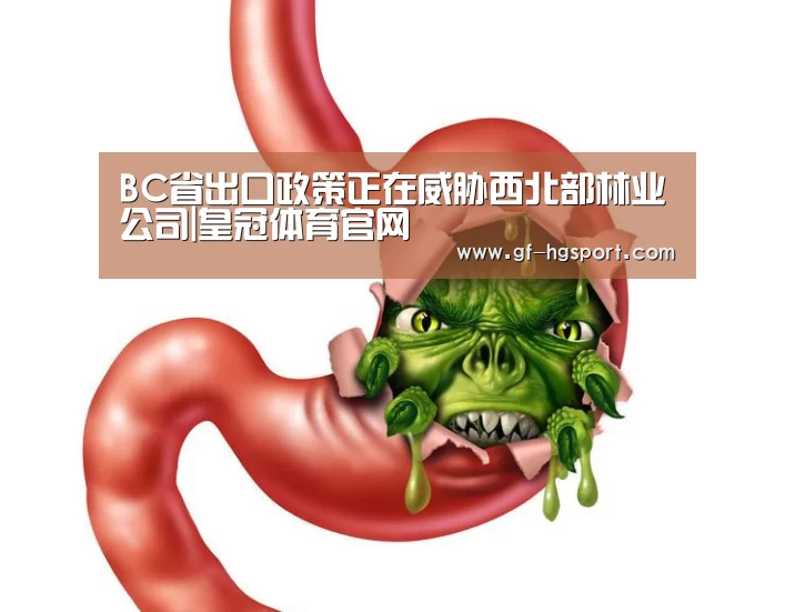BC省出口政策正在威胁西北部林业公司|皇冠体育官网(图1) 皇冠体育