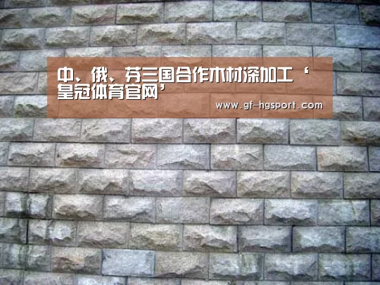 中、俄、芬三国合作木材深加工‘皇冠体育官网’(图2) 皇冠官方
